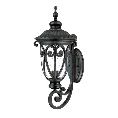 Alico Lighting 2111BK Acclaim Lighting Matte Black Finished Outdoor Sconce with Clear Seeded Glass Shades